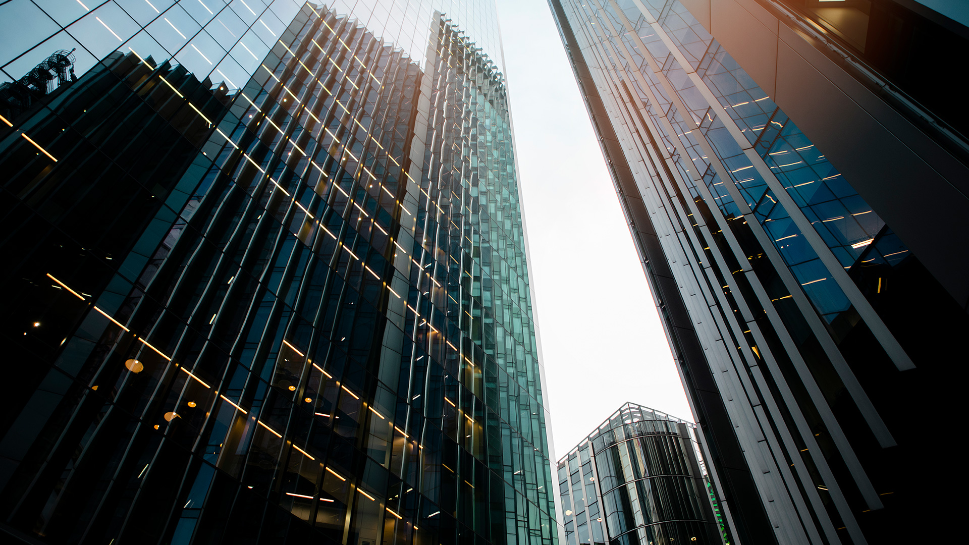 Boletín informativo